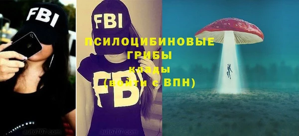 меф Нефтегорск
