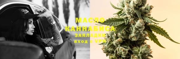мдпв Надым