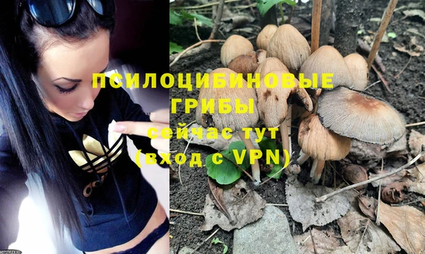 мдпв Надым