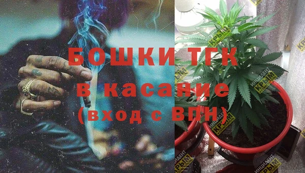 дурь Вяземский