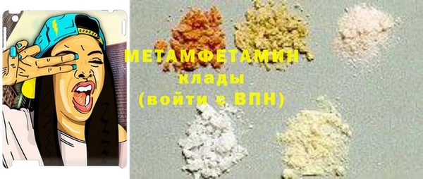 прущие грибы Нижний Тагил
