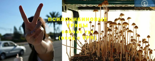 меф Нефтегорск