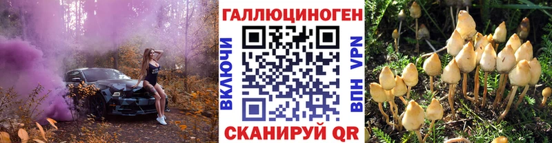 Галлюциногенные грибы Magic Shrooms сайты даркнета состав Котельники мега как зайти